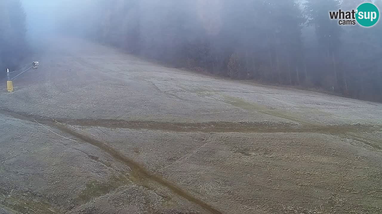 Spletna Kamera Pohorje Trikotna Jasa | Poštela