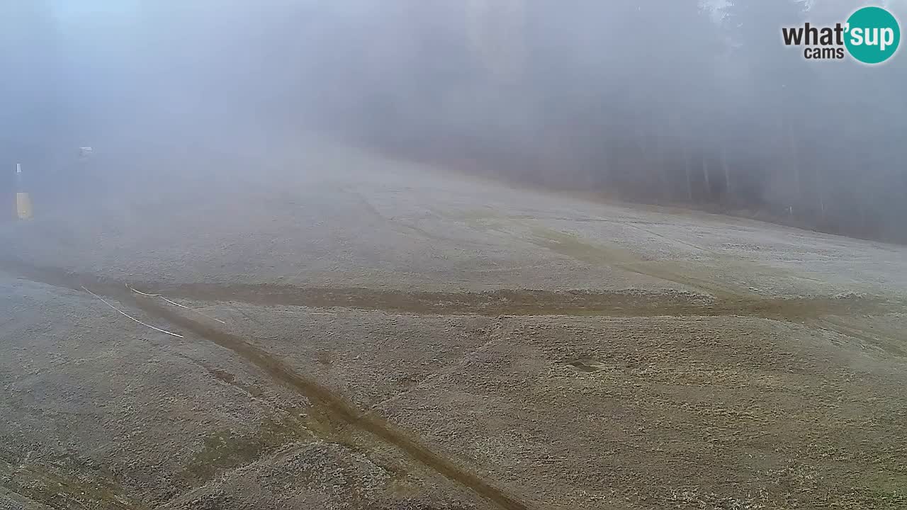 Webcam Pohorje Trikotna Jasa | Poštela