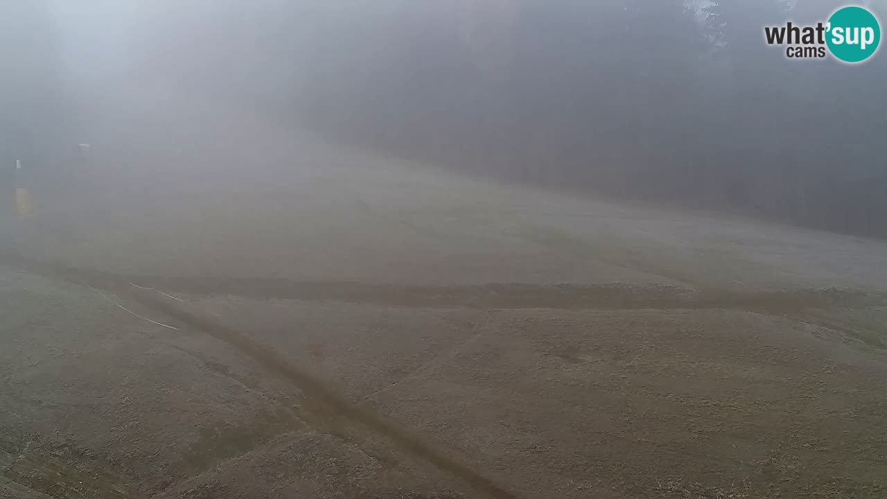 Webcam Pohorje Trikotna Jasa | Poštela