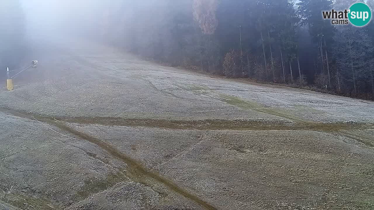 Webcam Pohorje Trikotna Jasa | Poštela