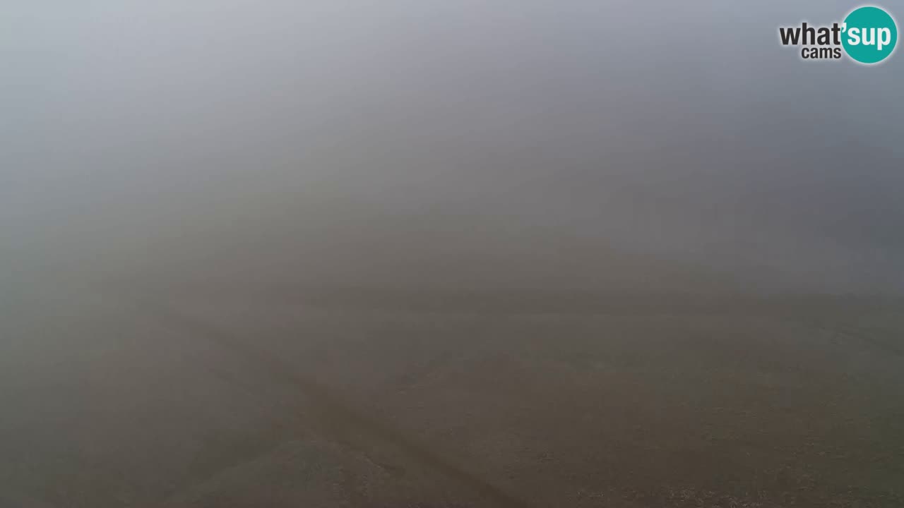 Webcam Pohorje Trikotna Jasa | Poštela