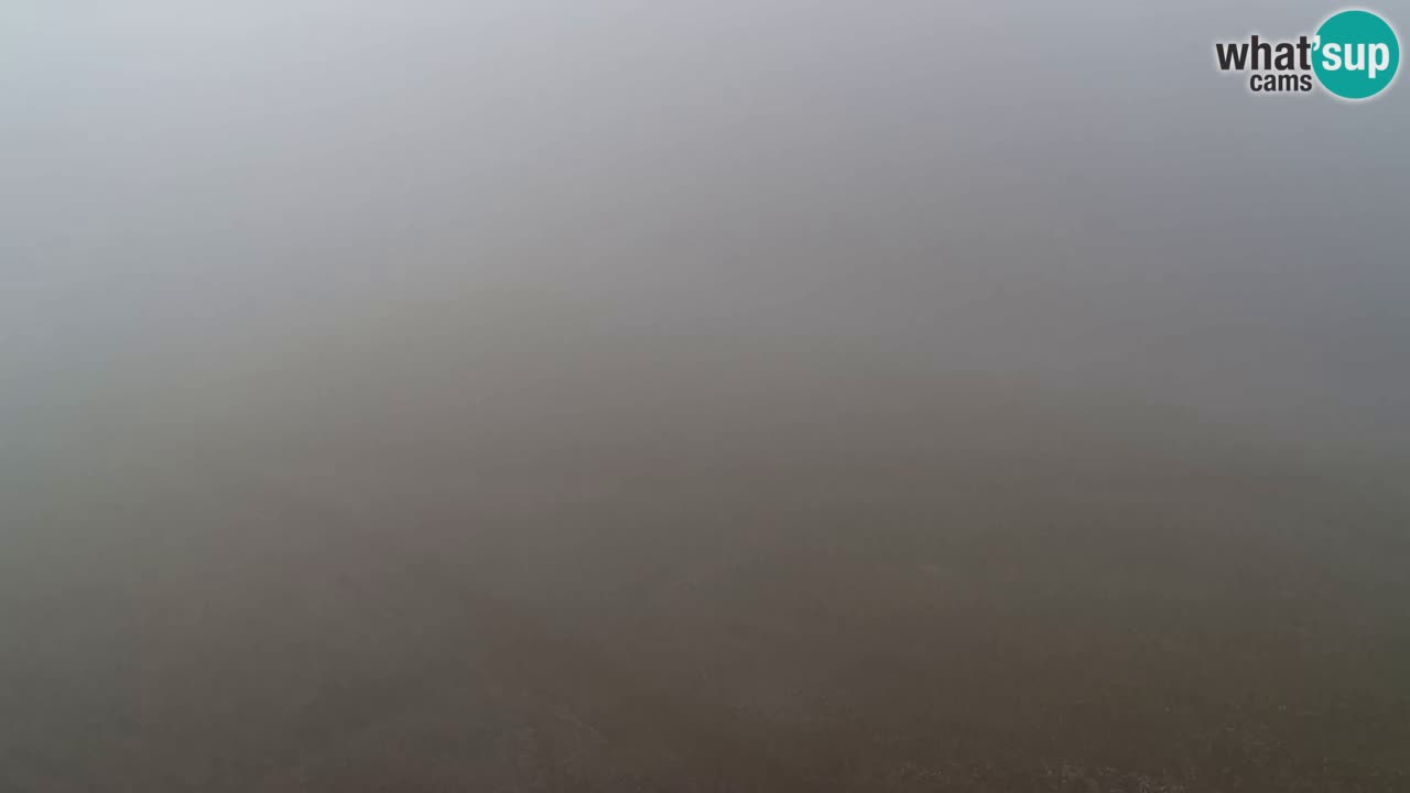 Webcam Pohorje Trikotna Jasa | Poštela