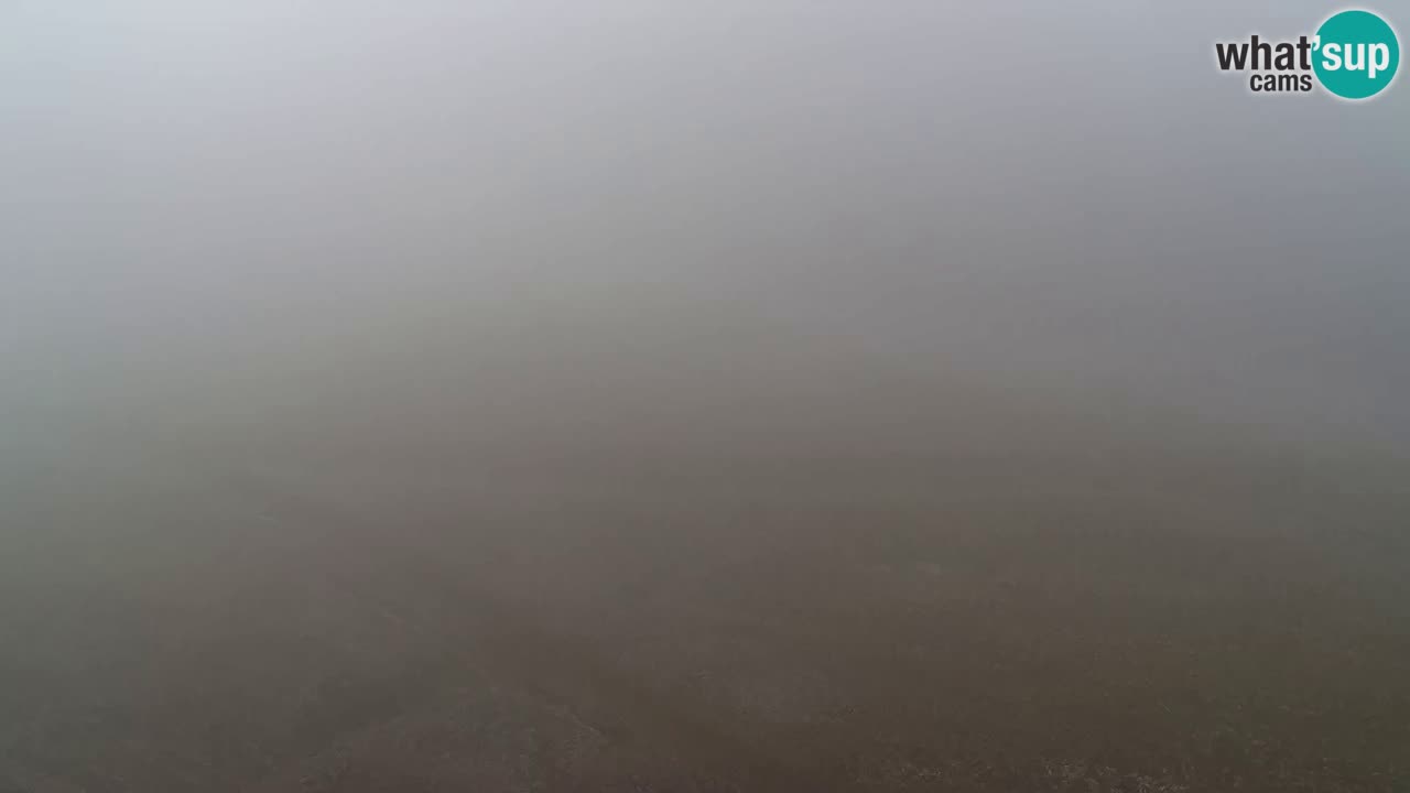 Webcam Pohorje Trikotna Jasa | Poštela