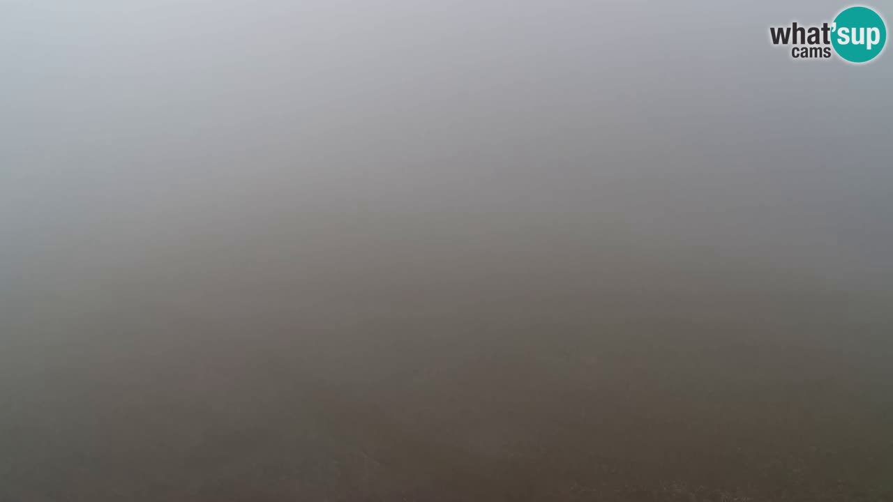 Webcam Pohorje Trikotna Jasa | Poštela