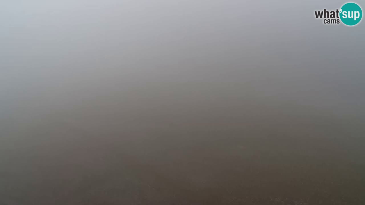 Webcam Pohorje Trikotna Jasa | Poštela