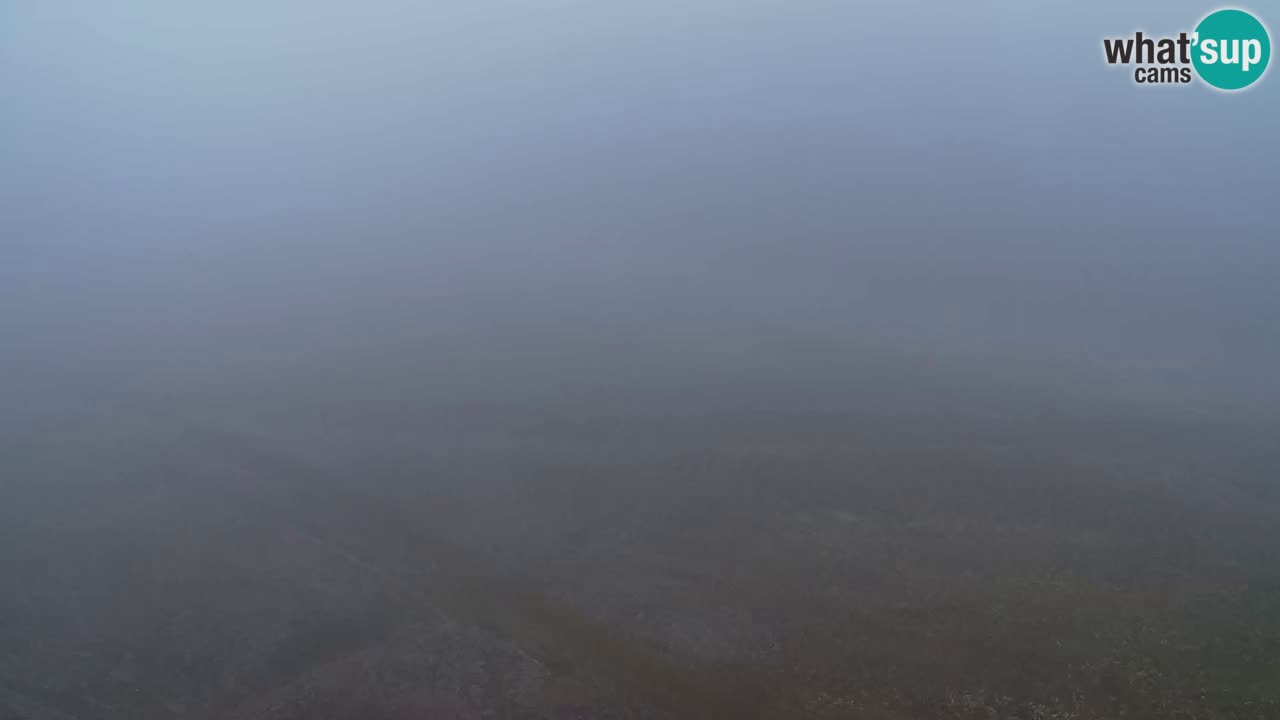 Webcam Pohorje Trikotna Jasa | Poštela