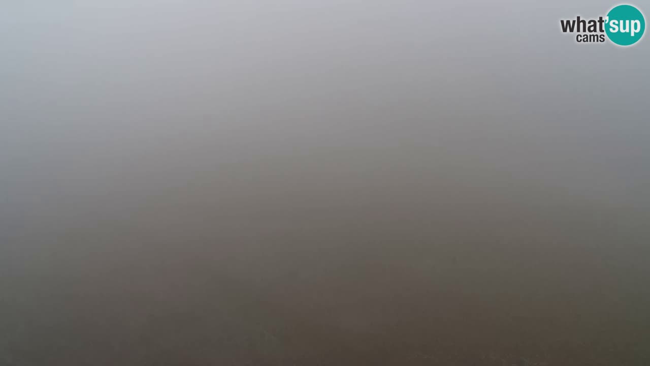 Webcam Pohorje Trikotna Jasa | Poštela