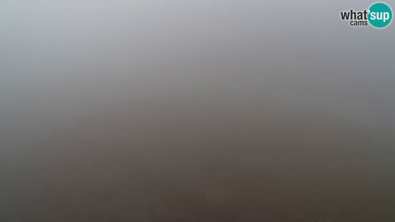 Webcam Pohorje Trikotna Jasa | Poštela