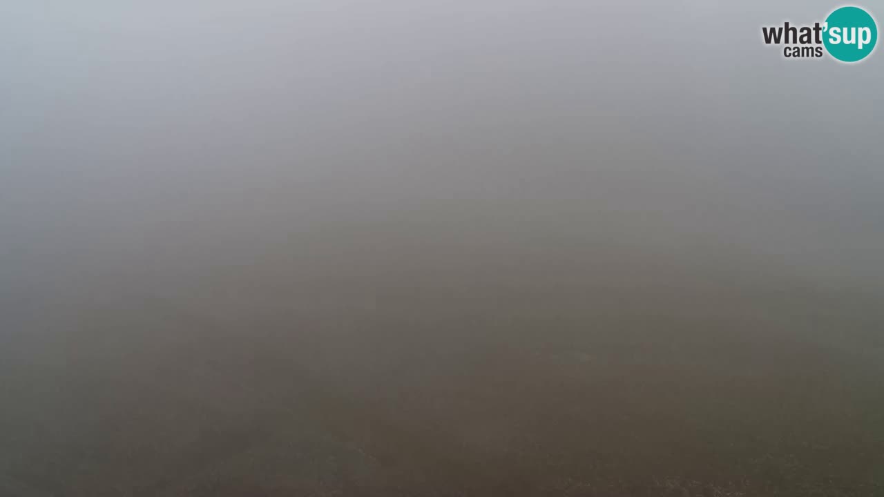 Webcam Pohorje Trikotna Jasa | Poštela