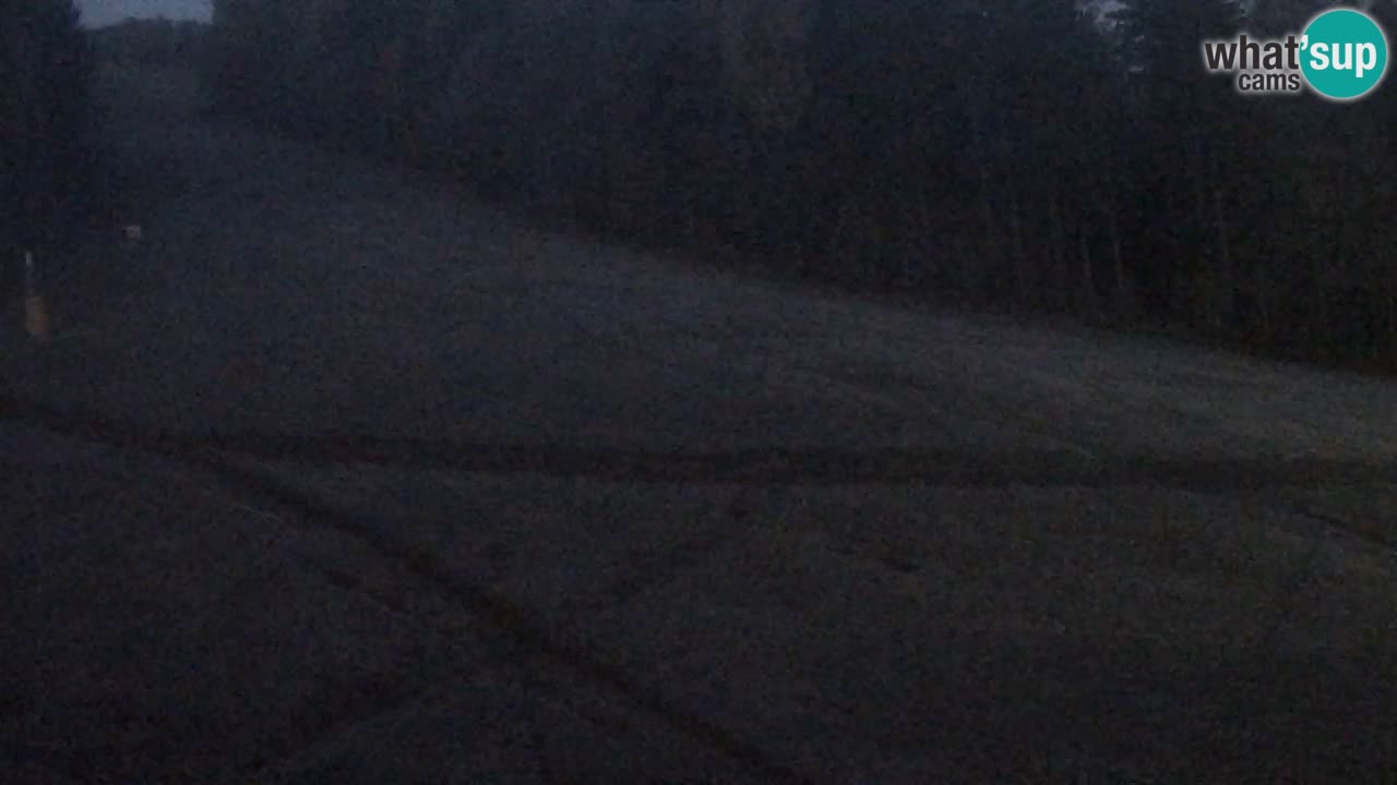 Webcam Pohorje Trikotna Jasa | Poštela