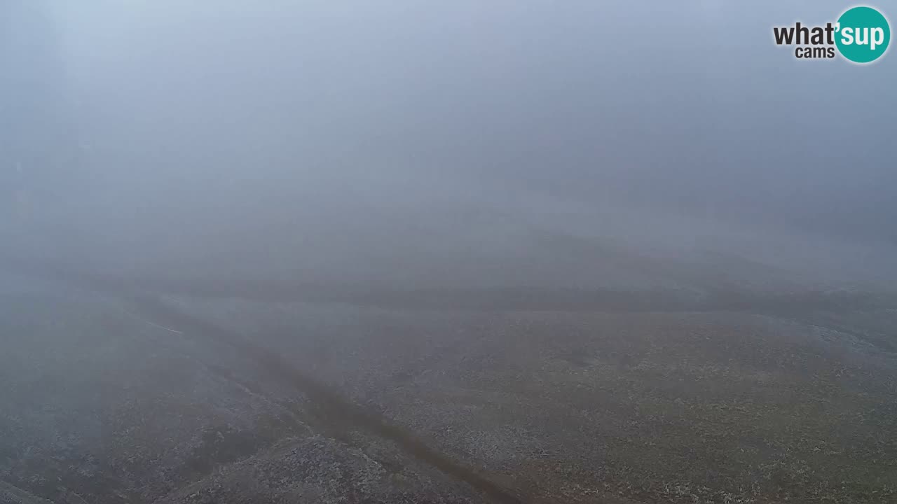 Web Camera Pohorje Trikotna Jasa | Poštela