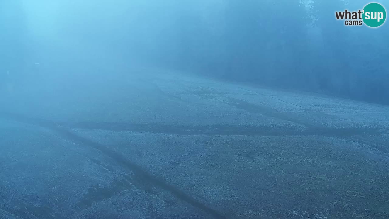 Webcam Pohorje Trikotna Jasa | Poštela