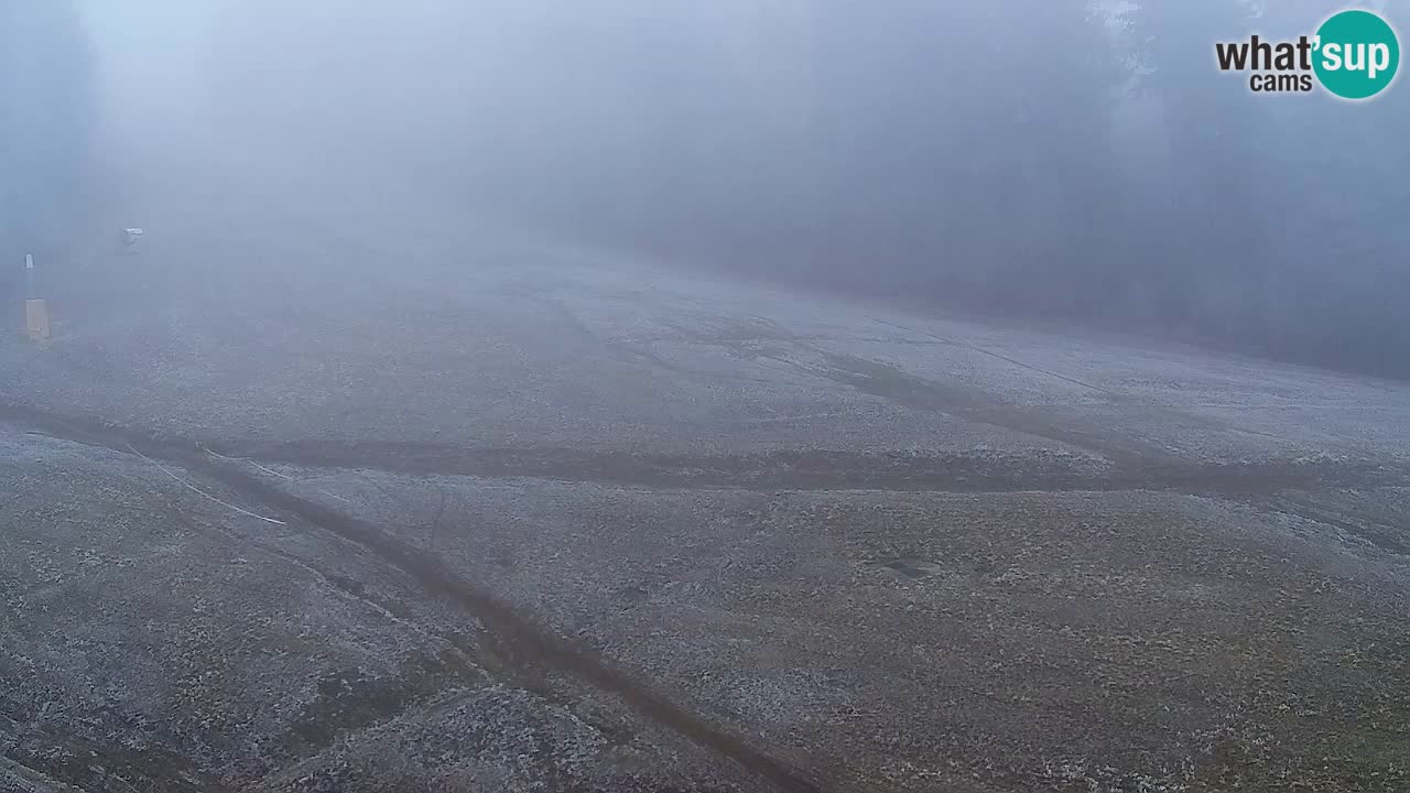 Web Camera Pohorje Trikotna Jasa | Poštela