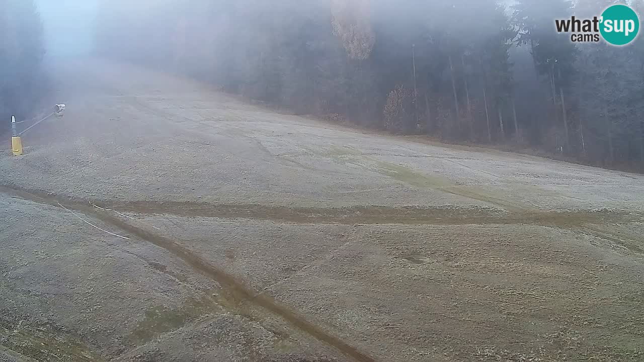 Spletna Kamera Pohorje Trikotna Jasa | Poštela