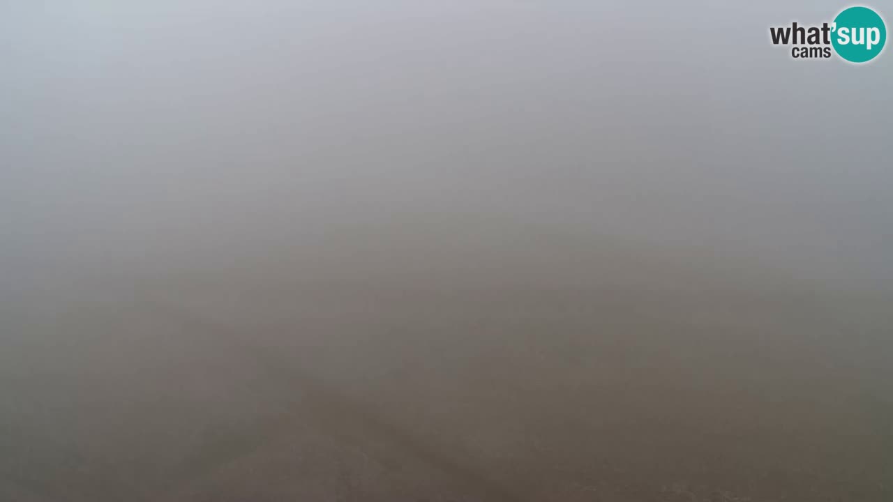 Webcam Pohorje Trikotna Jasa | Poštela