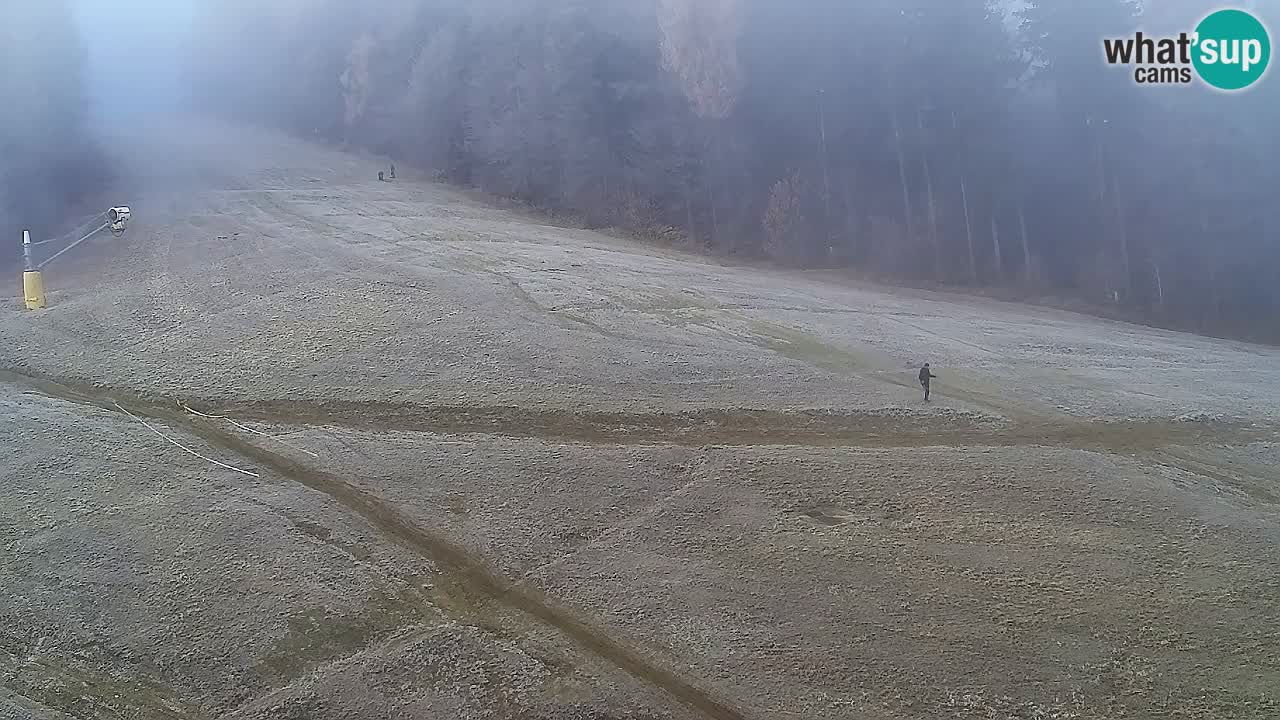 Webcam Pohorje Trikotna Jasa | Poštela