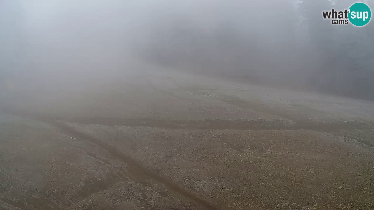 Webcam Pohorje Trikotna Jasa | Poštela