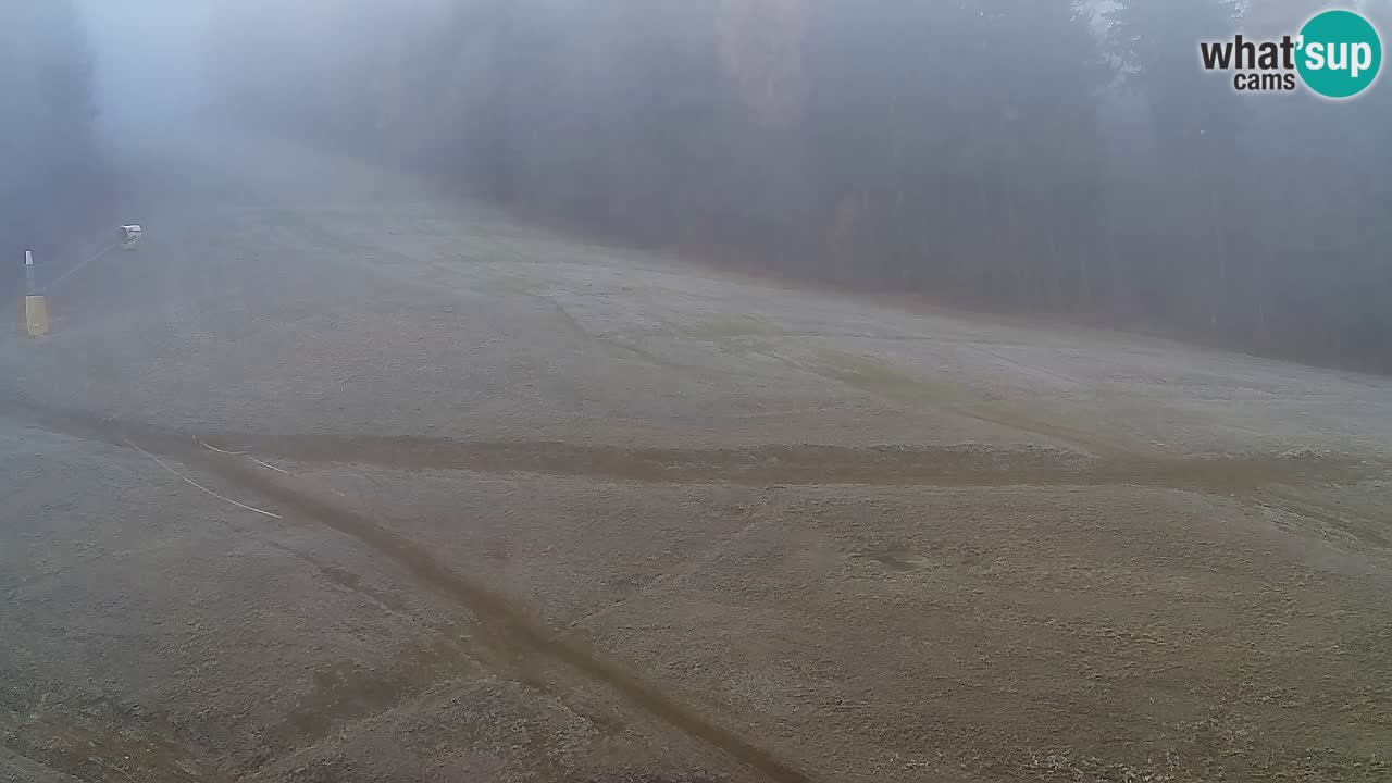 Webcam Pohorje Trikotna Jasa | Poštela