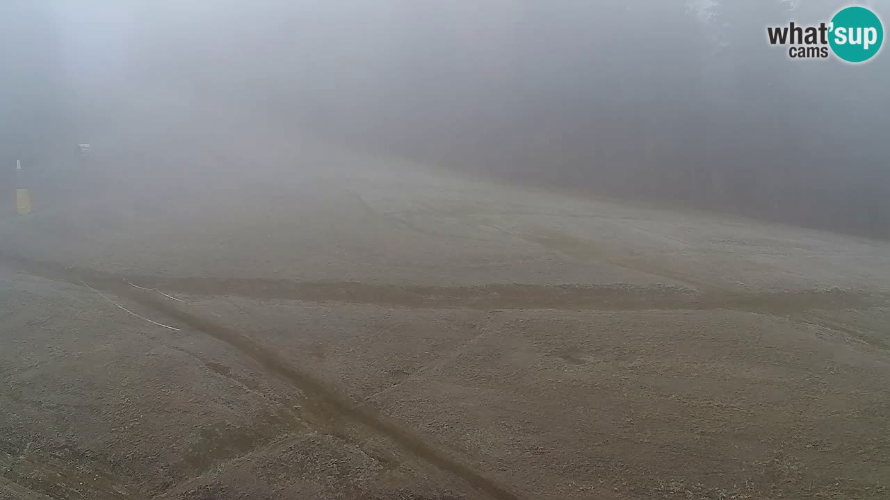 Spletna Kamera Pohorje Trikotna Jasa | Poštela