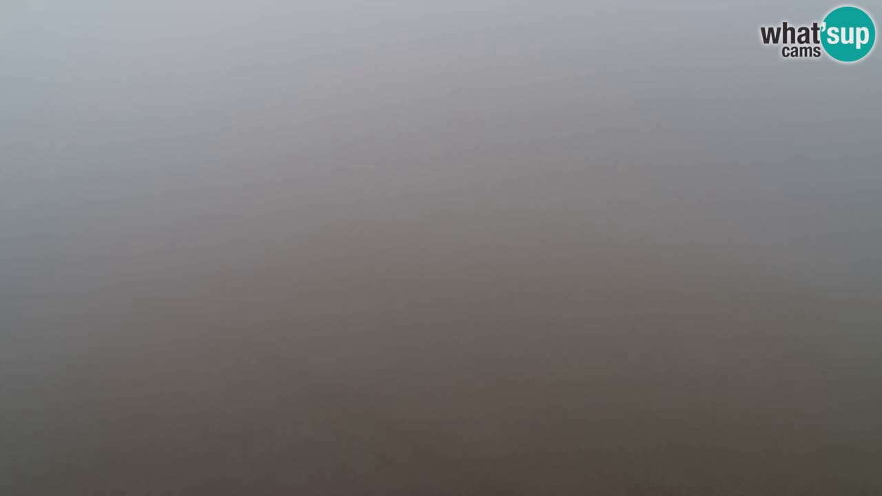 Webcam Pohorje Trikotna Jasa | Poštela