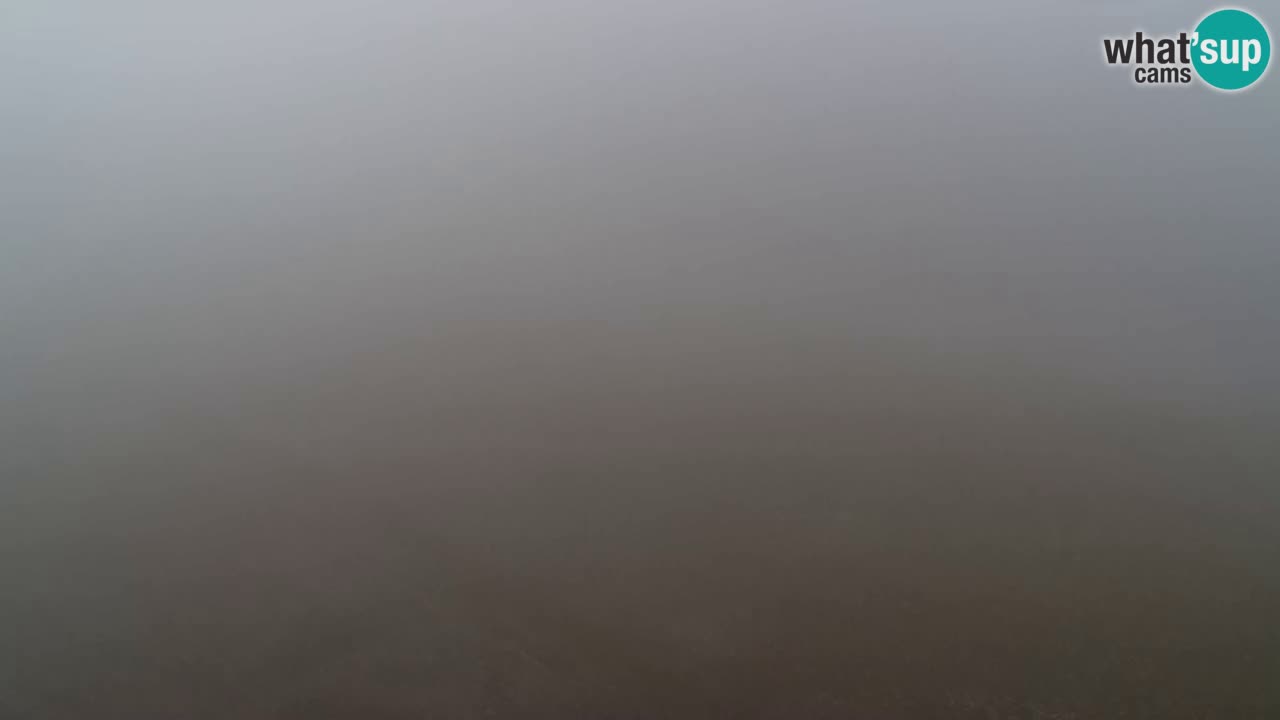 Webcam Pohorje Trikotna Jasa | Poštela