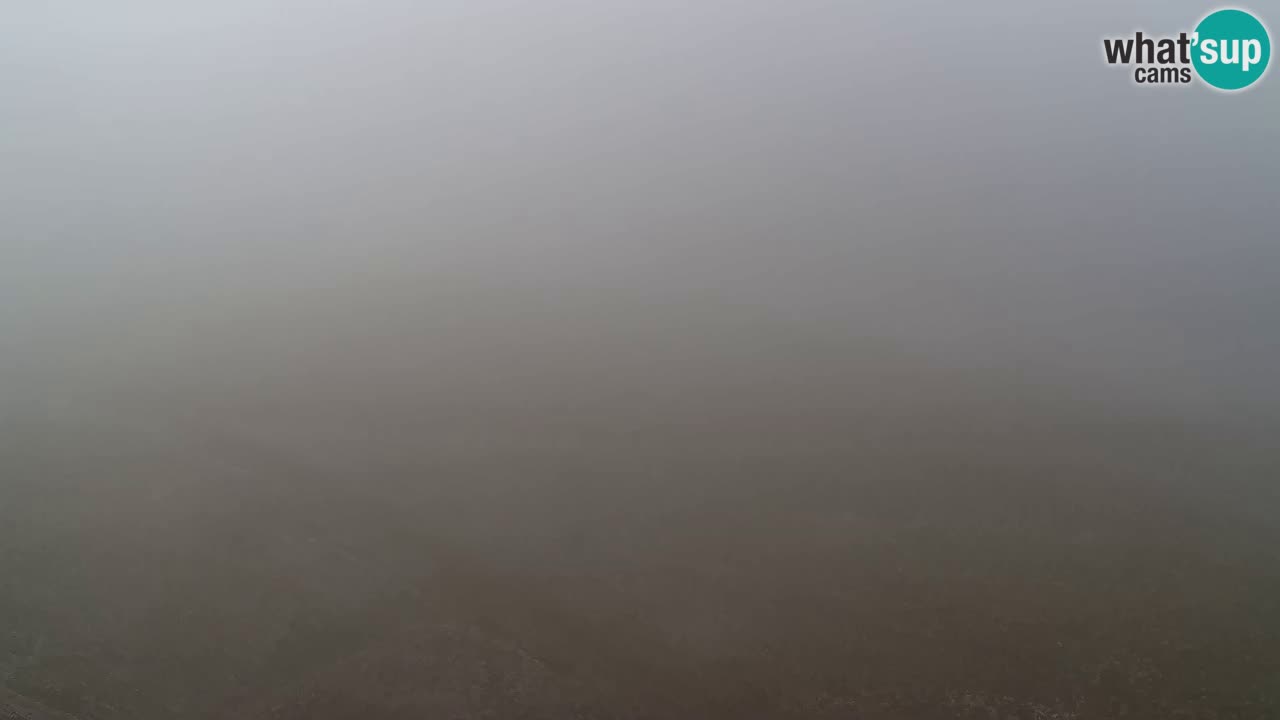 Webcam Pohorje Trikotna Jasa | Poštela