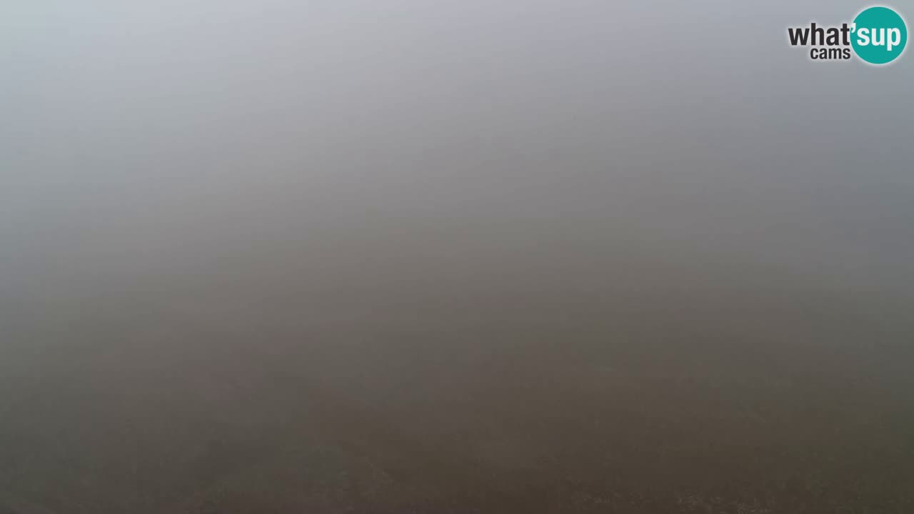 Webcam Pohorje Trikotna Jasa | Poštela