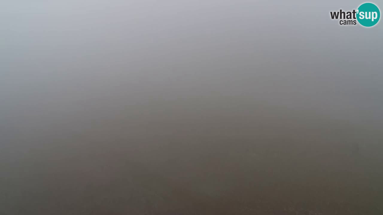 Web Camera Pohorje Trikotna Jasa | Poštela