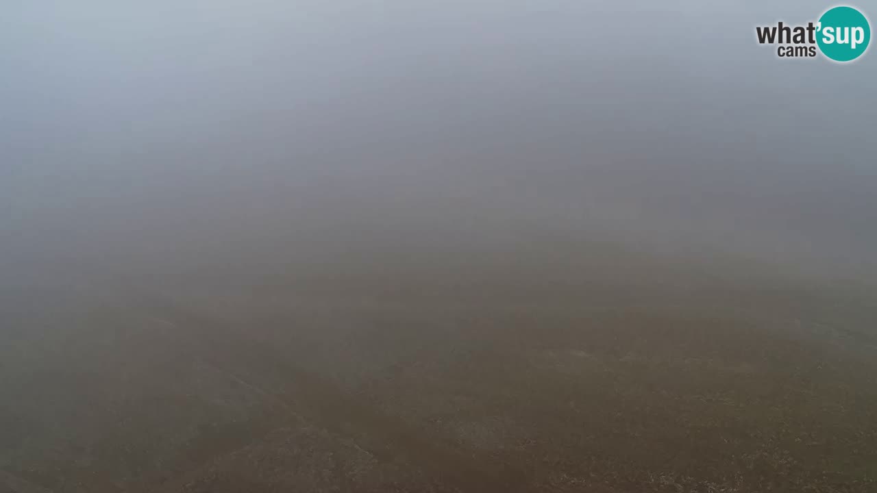 Web Camera Pohorje Trikotna Jasa | Poštela