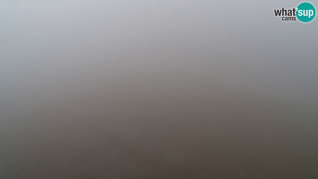 Webcam Pohorje Trikotna Jasa | Poštela