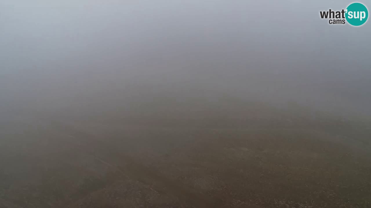 Spletna Kamera Pohorje Trikotna Jasa | Poštela