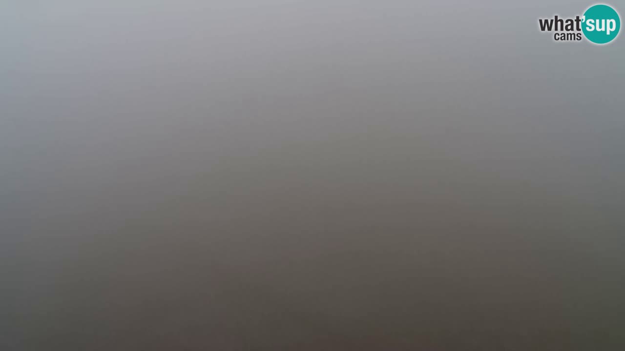 Webcam Pohorje Trikotna Jasa | Poštela