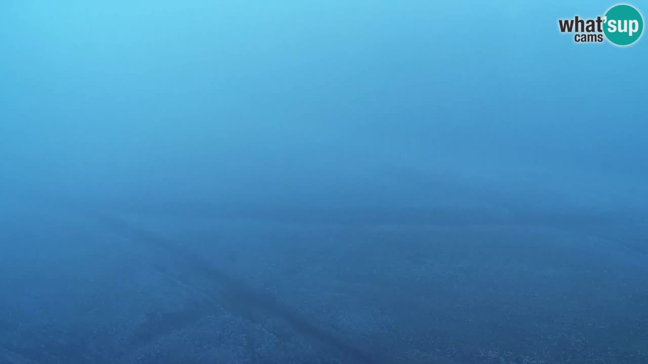 Webcam Pohorje Trikotna Jasa | Poštela