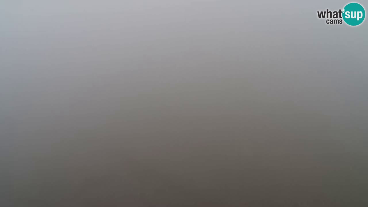 Webcam Pohorje Trikotna Jasa | Poštela