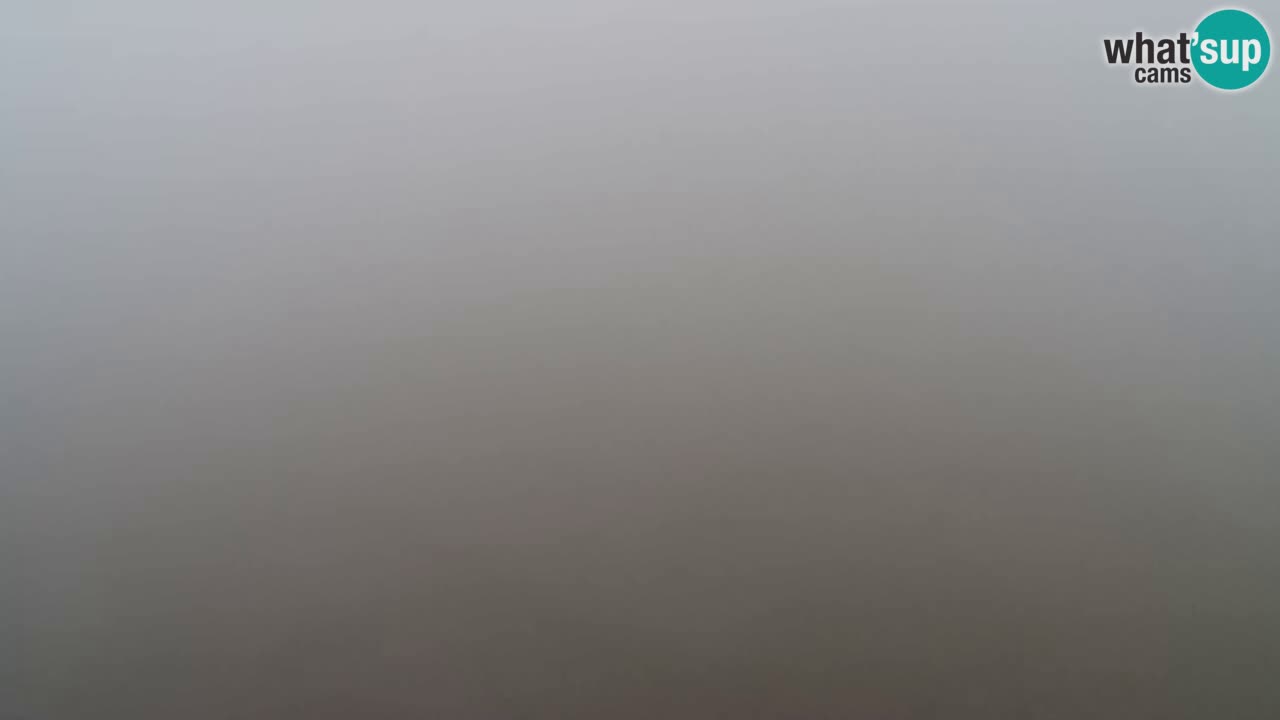 Webcam Pohorje Trikotna Jasa | Poštela