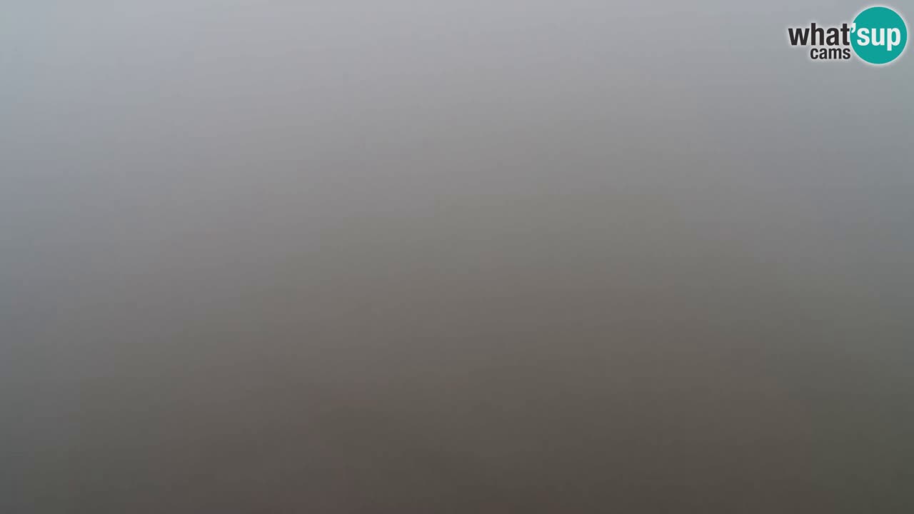 Webcam Pohorje Trikotna Jasa | Poštela