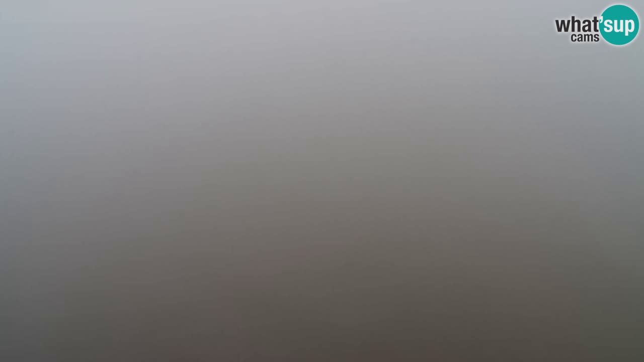 Webcam Pohorje Trikotna Jasa | Poštela