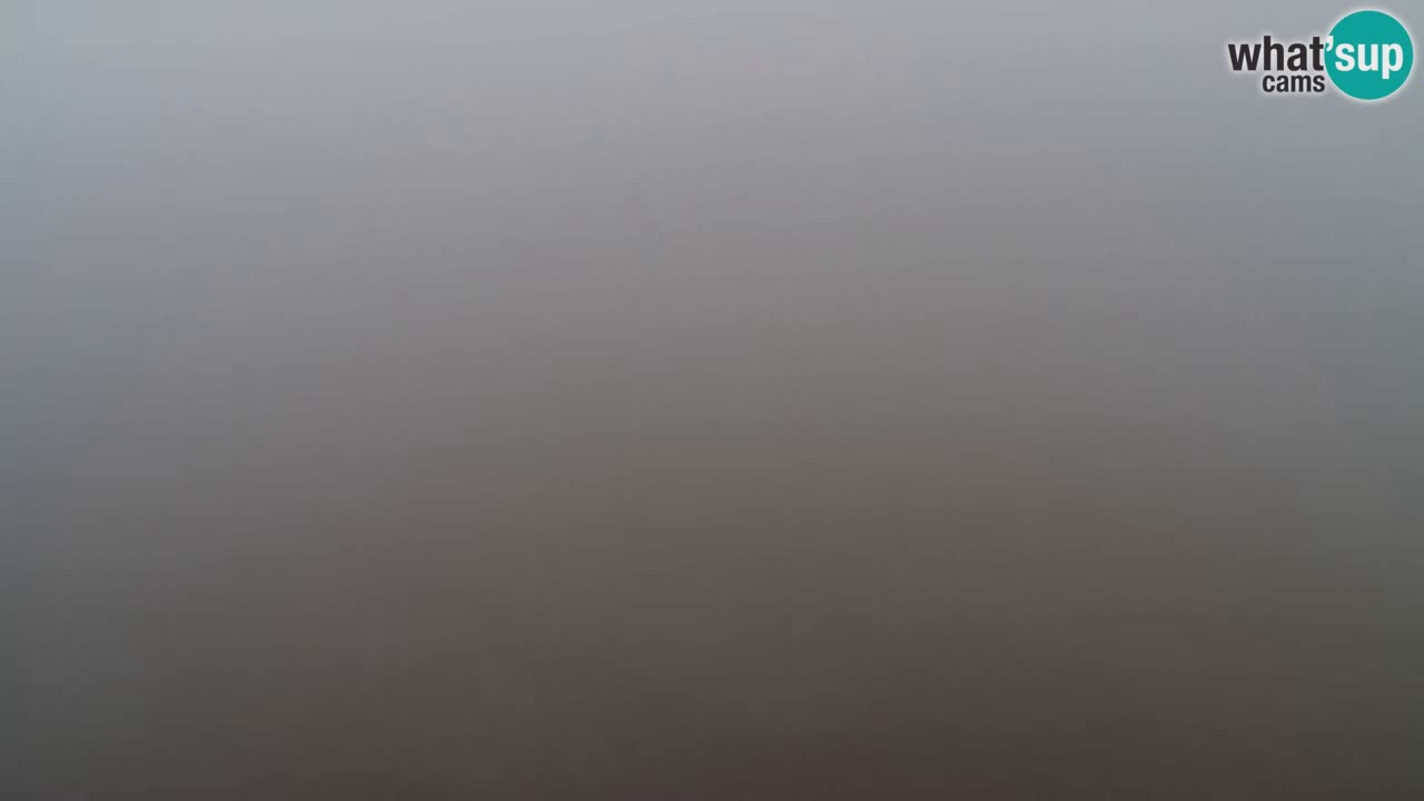 Webcam Pohorje Trikotna Jasa | Poštela