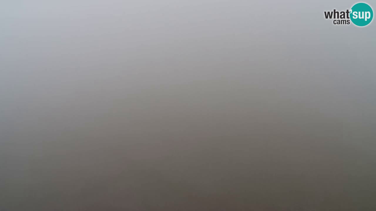 Web Camera Pohorje Trikotna Jasa | Poštela