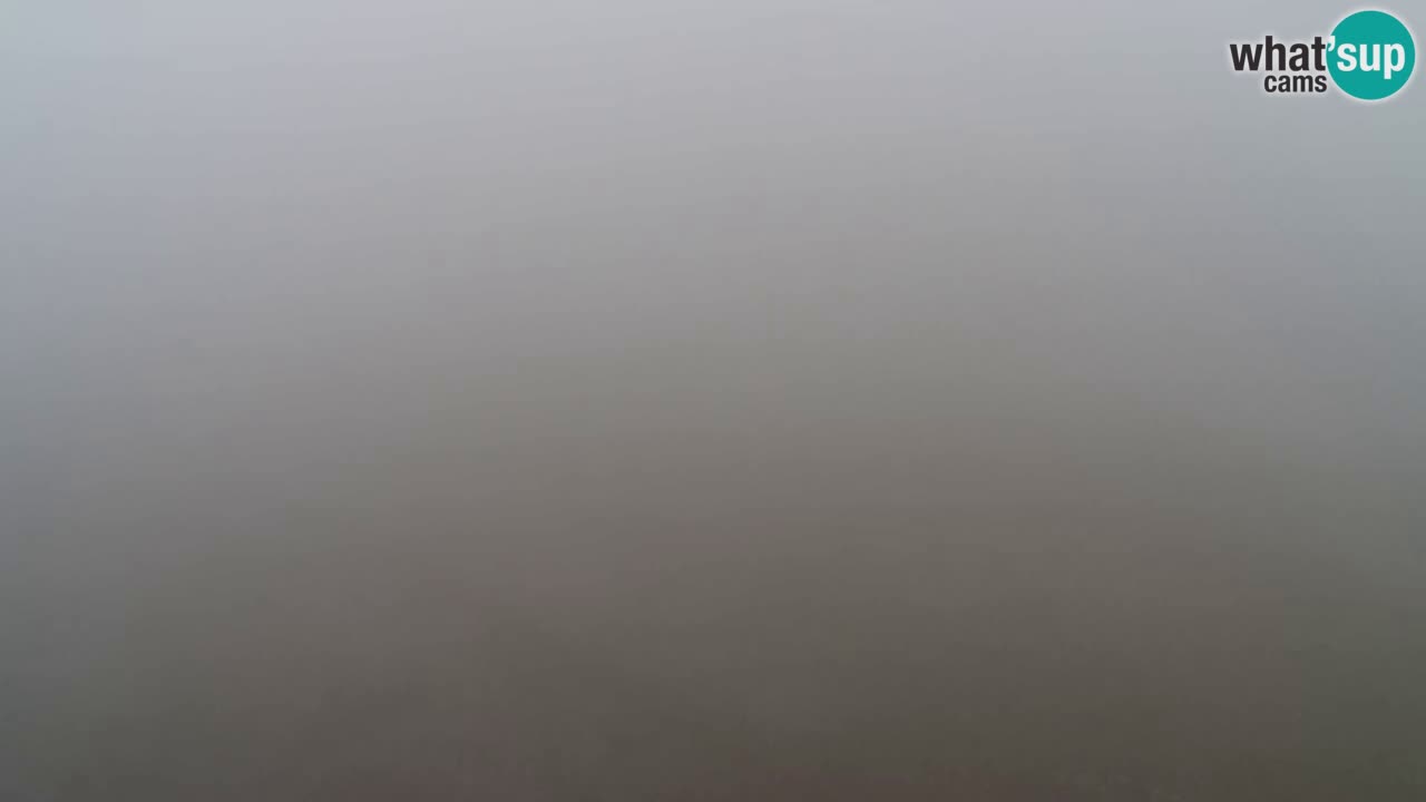 Web Camera Pohorje Trikotna Jasa | Poštela