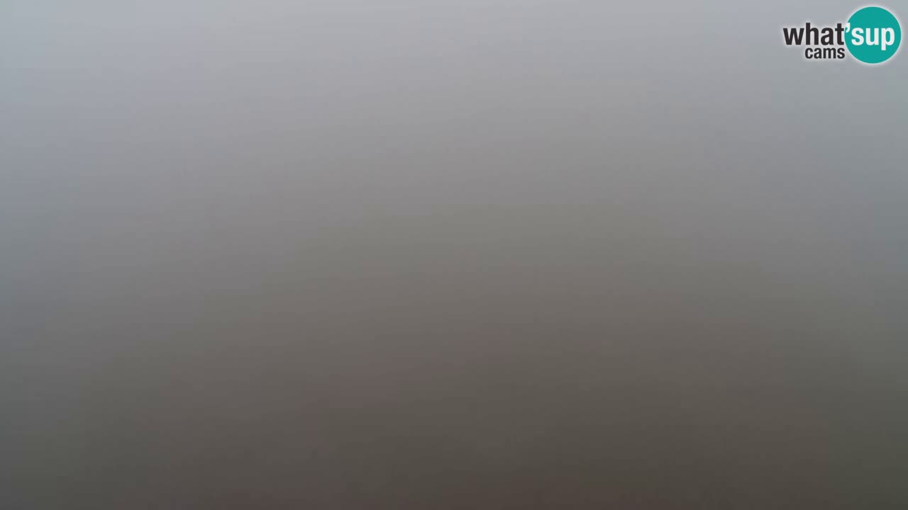 Web Camera Pohorje Trikotna Jasa | Poštela