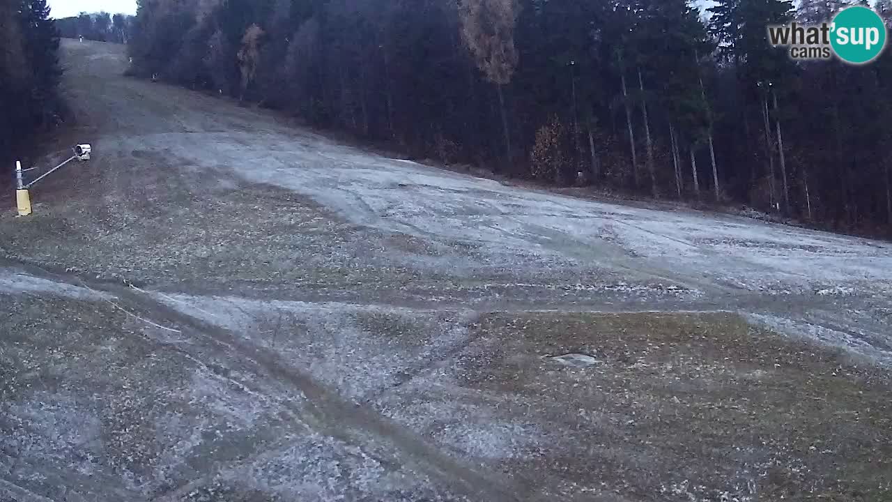 Webcam Pohorje Trikotna Jasa | Poštela