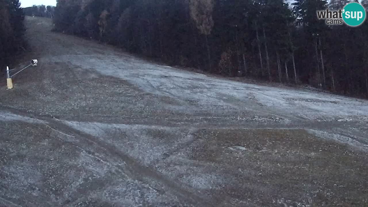 Webcam Pohorje Trikotna Jasa | Poštela