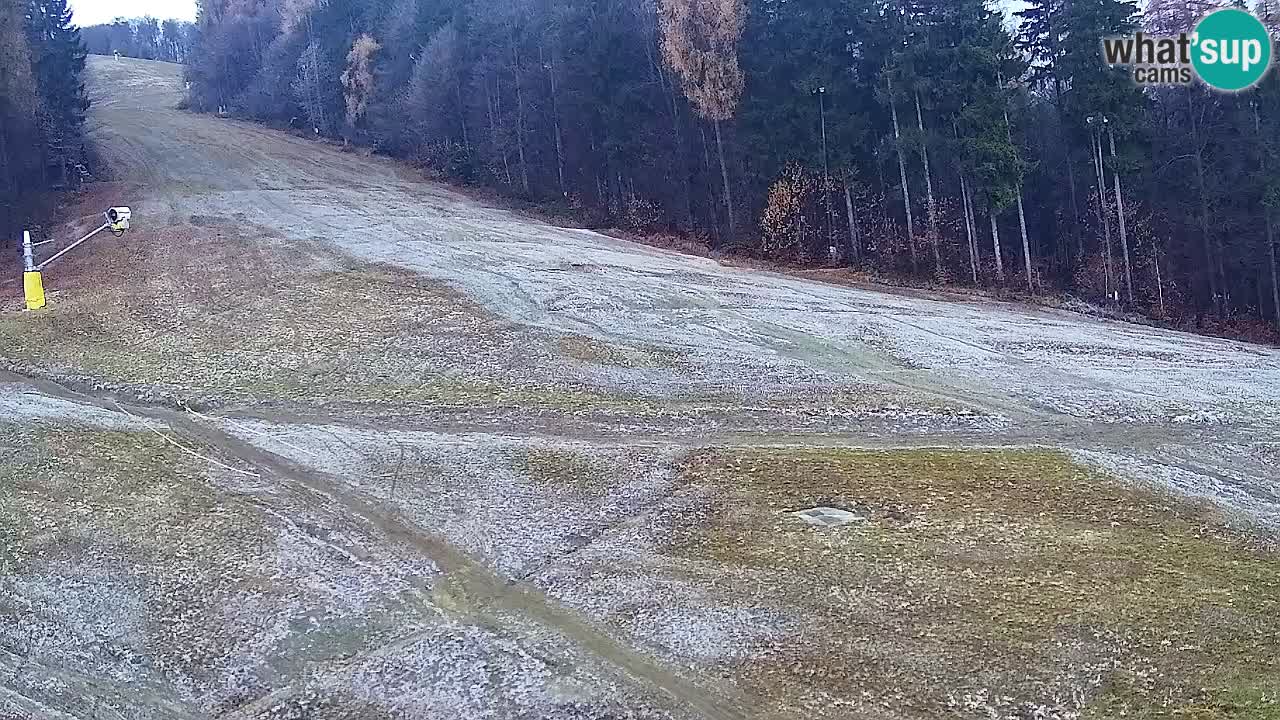 Webcam Pohorje Trikotna Jasa | Poštela