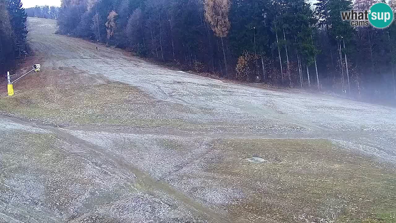 Webcam Pohorje Trikotna Jasa | Poštela