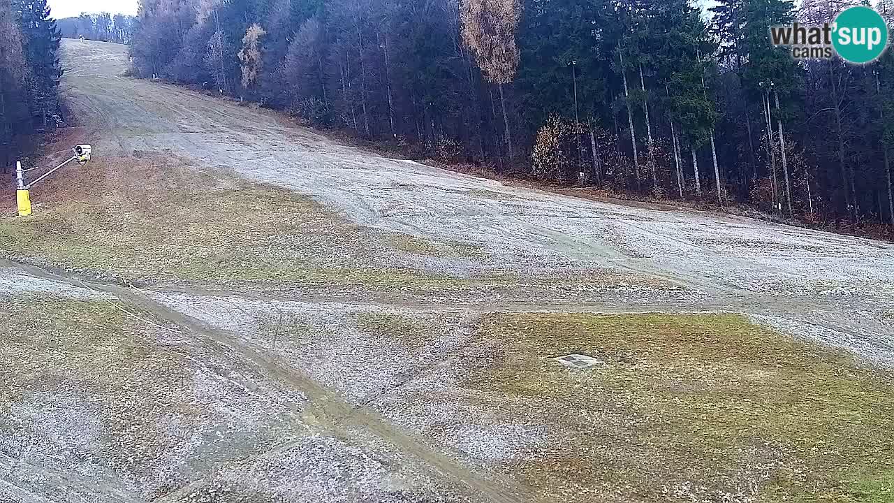 Webcam Pohorje Trikotna Jasa | Poštela