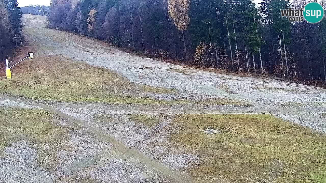 Web kamera Pohorje Trikotna Jasa | Poštela