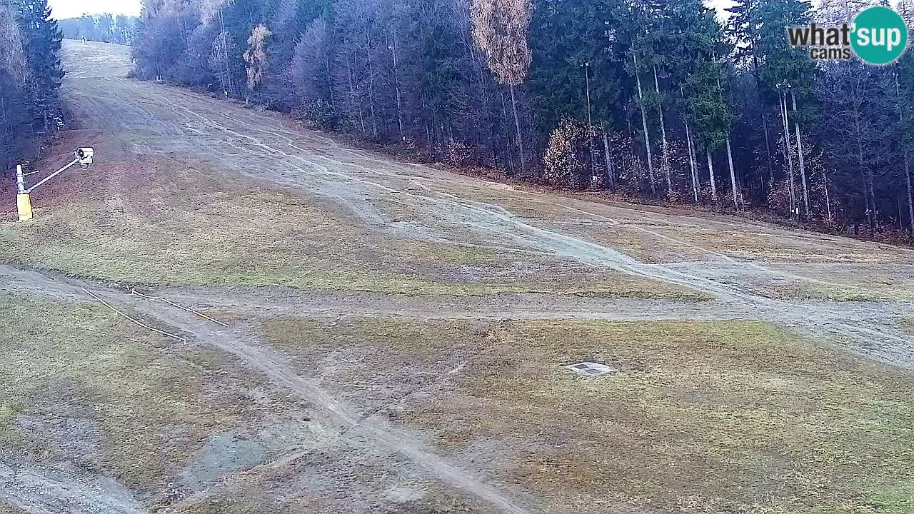 Webcam Pohorje Trikotna Jasa | Poštela