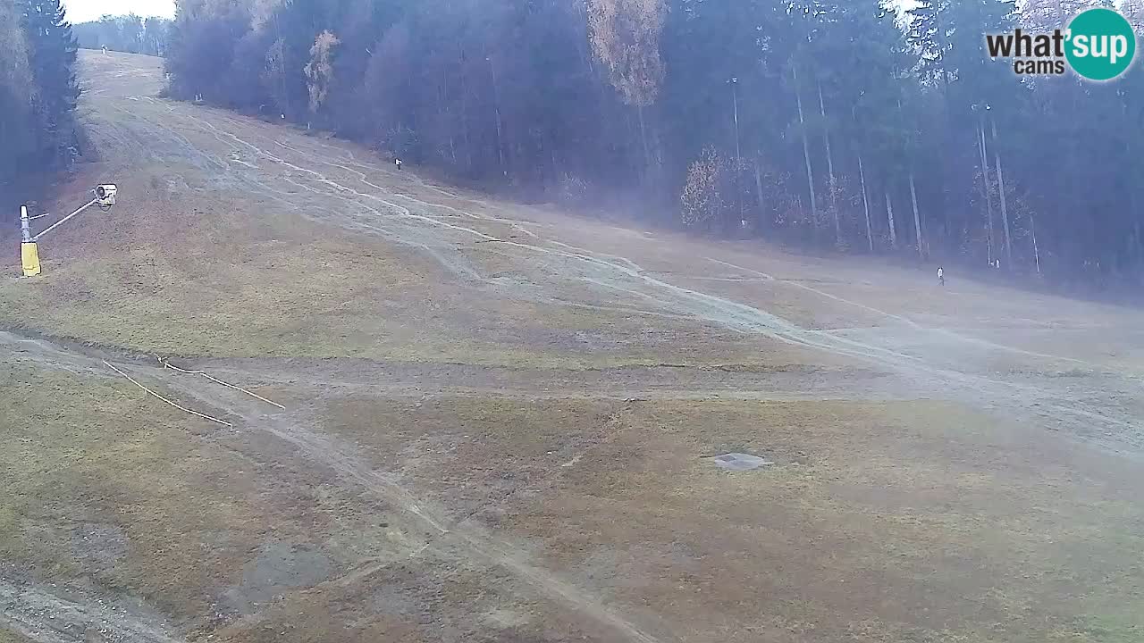 Spletna Kamera Pohorje Trikotna Jasa | Poštela