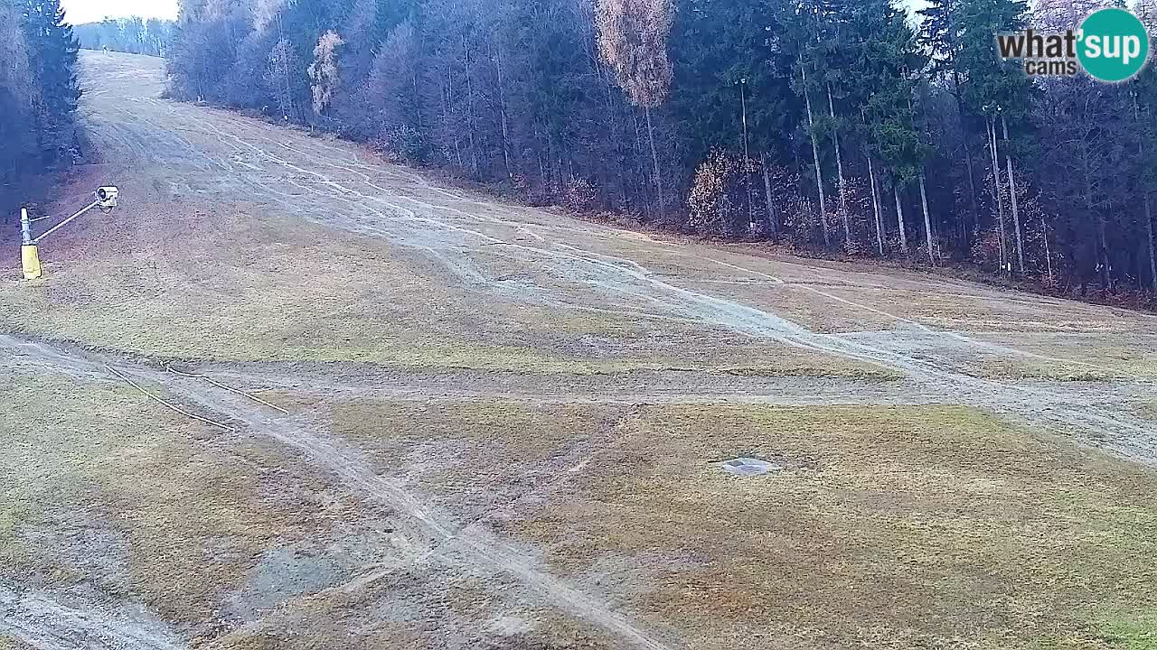 Spletna Kamera Pohorje Trikotna Jasa | Poštela
